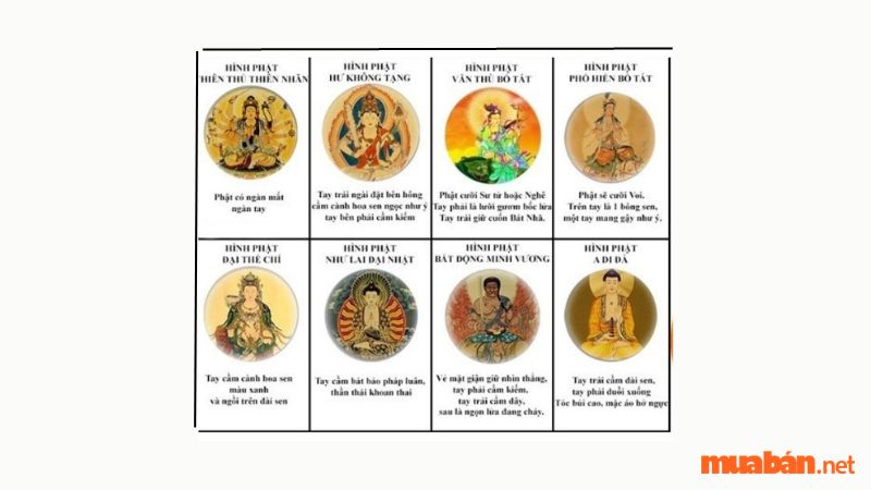 Ý nghĩa của Phật Bản Mệnh so với 12 con cái giáp