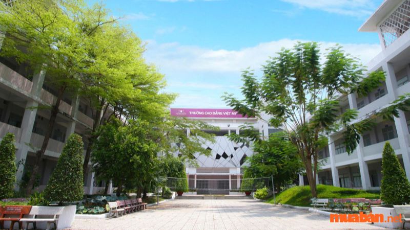 Giới thiệu về trường Cao đẳng Việt Mỹ (APC)