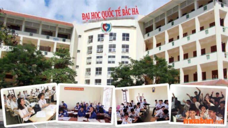 Học phí Đại học Quốc tế Bắc Hà (BHIU) năm học 2025 – 2026