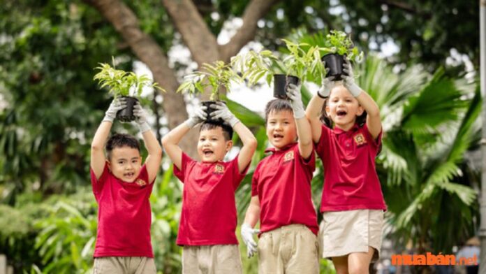 Học phí chương trình trường quốc tế Việt Úc mới nhất năm 2023