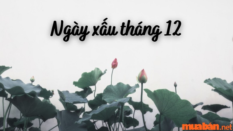 Ngày xấu tháng 12 năm 2023