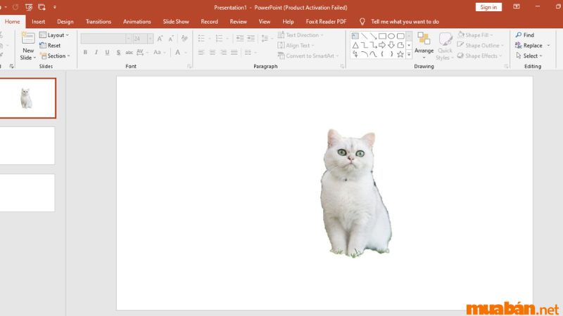 Kết quả của cách tách nền trong PowerPoint