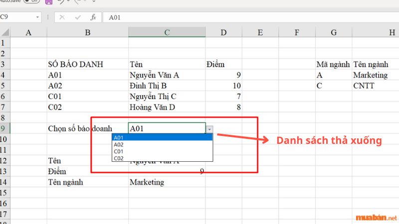 Danh sách thả xuống bằng Data Validation