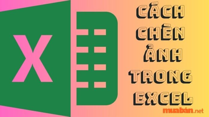 cách chèn ảnh vào Excel