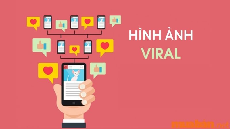 Hình ảnh viral marketing