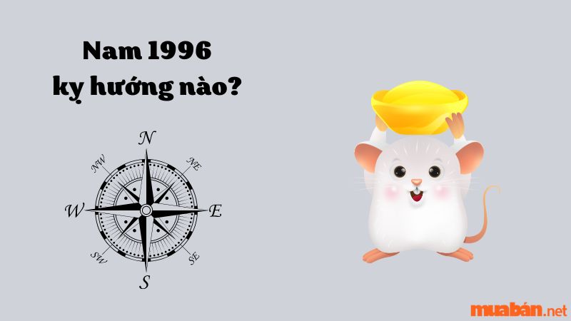 Which direction is the male born in the year of the Rat 1996?