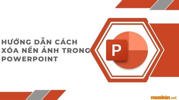 Hướng dẫn cách xóa ảnh nền trong Powerpoint