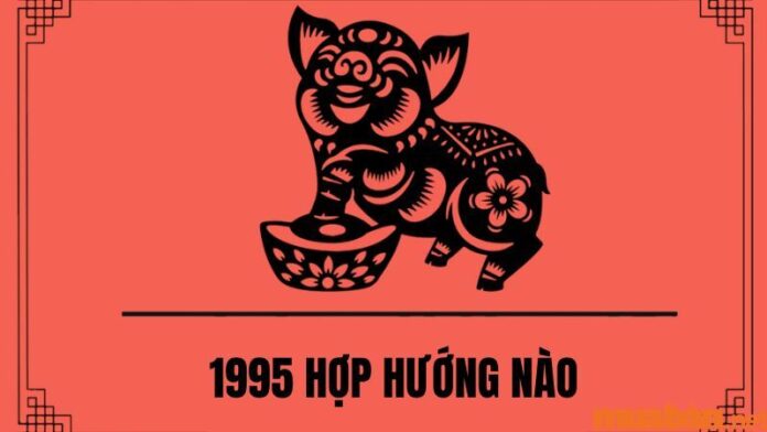 1995 hợp hướng nào?