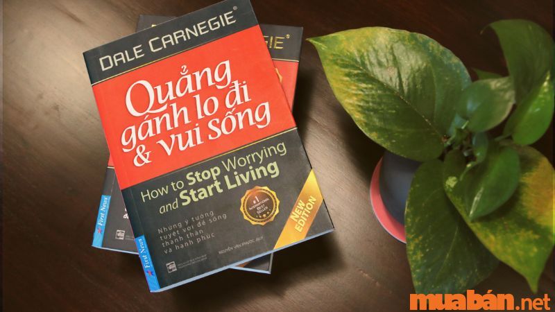 Quẳng gánh lo đi và vui sống