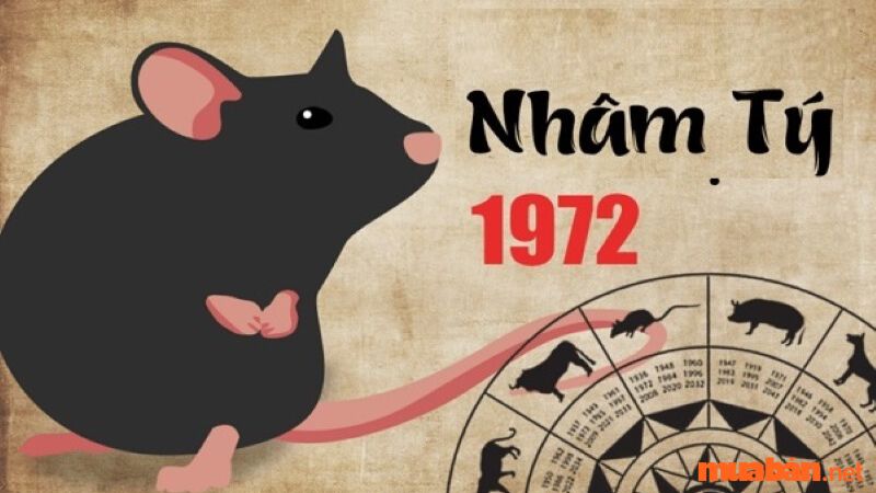 Overview of the Year of the Rat 1972