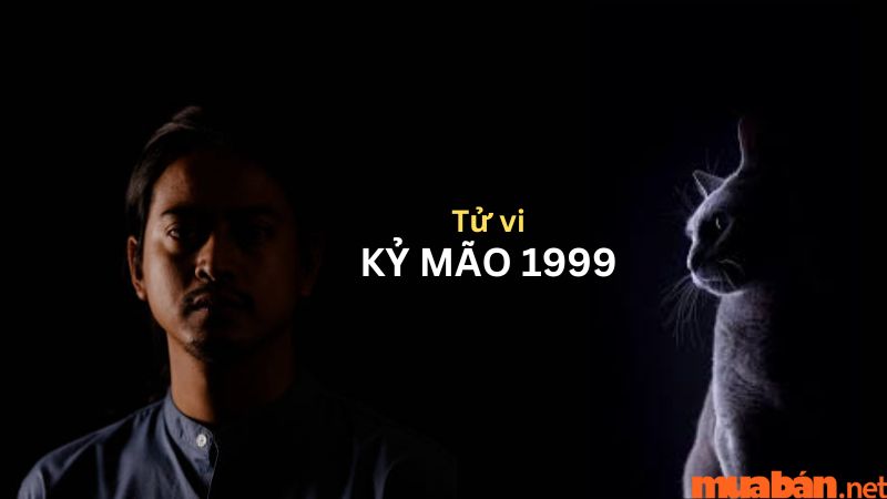 Tổng hợp tử vi tuổi Kỷ Mão 1999