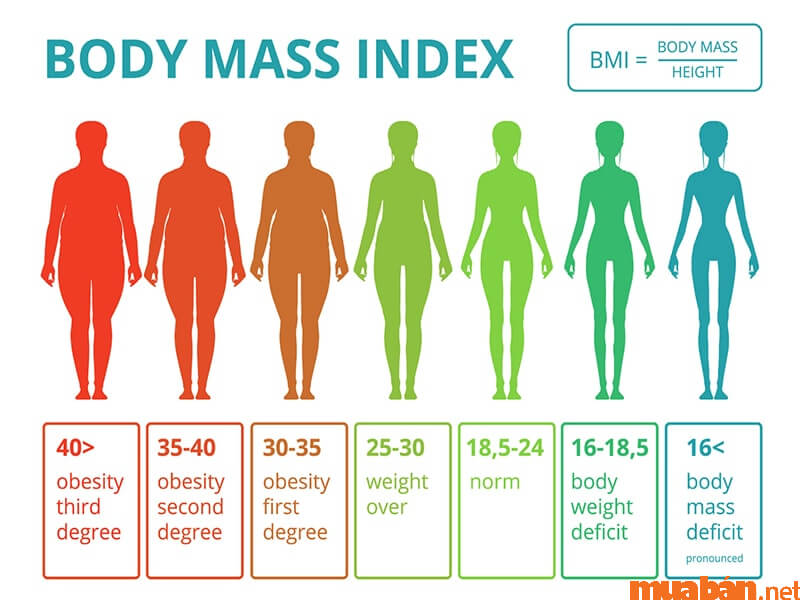 Cách tính chỉ số BMI