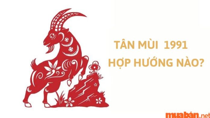 1991 hợp hướng nào