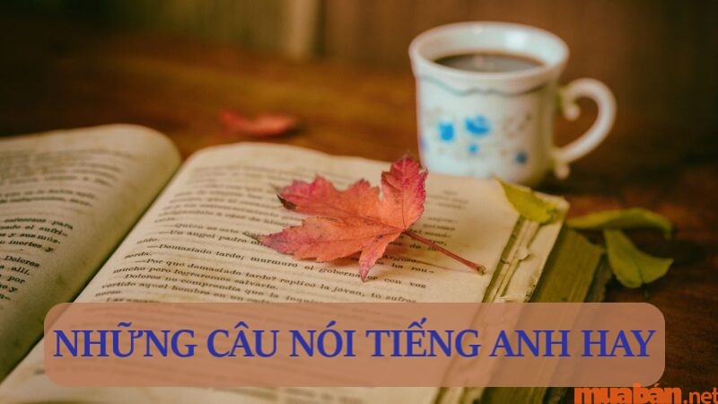 Những câu nói tiếng anh hay giúp bạn thay đổi cái nhìn về cuộc sống