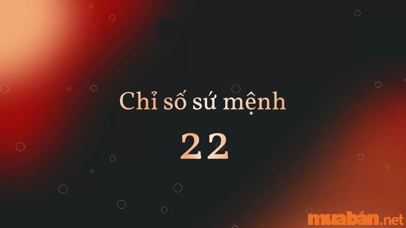 Ý nghĩa số sứ mệnh 22