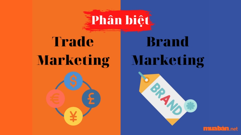 Phân biệt Trade Marketing và Brand Marketing