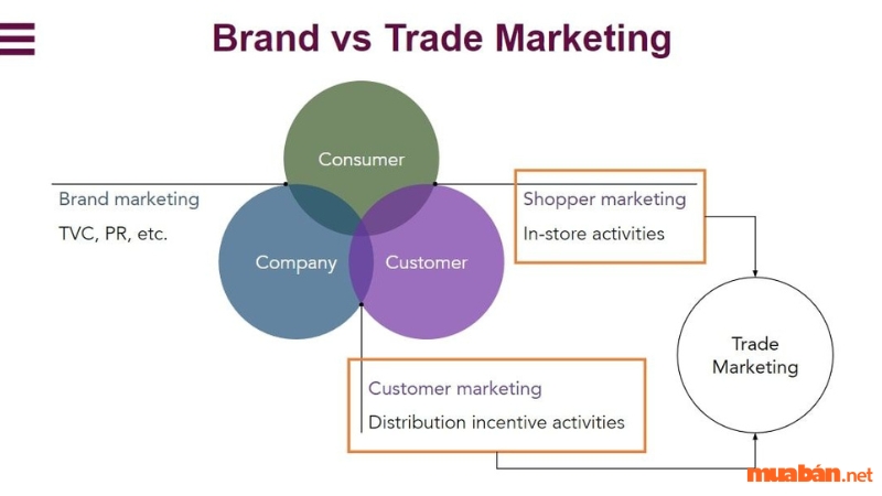 Phân biệt Trade Marketing và Brand Marketing
