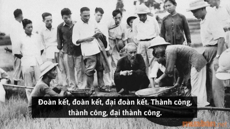 Những câu nói nổi tiếng nhất của Bác Hồ về tình đoàn kết nhân dân.