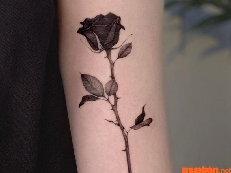 Hình xăm hoa hồng đen