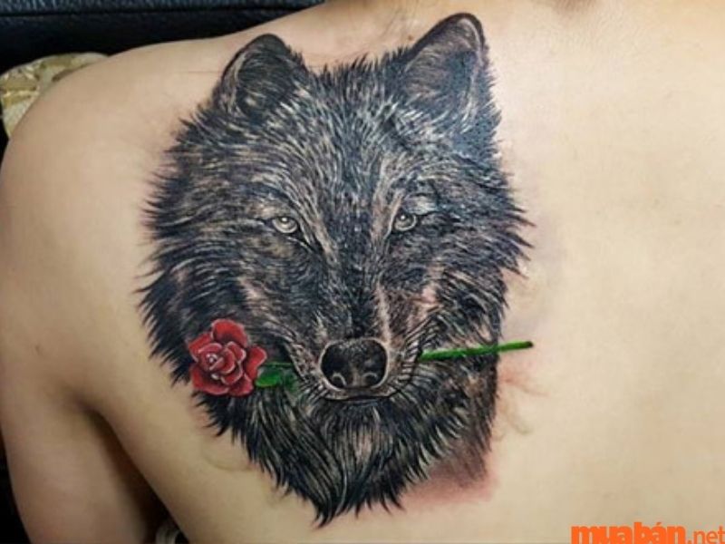 Hình xăm hoa hồng và sói