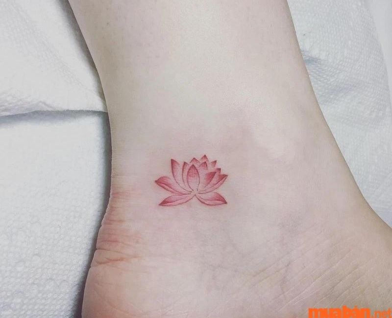 Hình xăm cổ chân nữ hình hoa sen