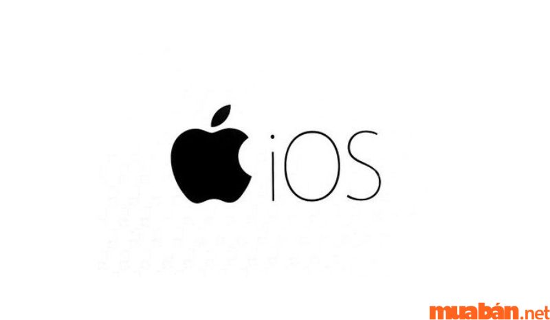 Theo dõi lịch cập nhật phiên bản mới của hệ điều hành IOS là cách khắc phục tình trạng iPhone 11 bị đơ màn hình