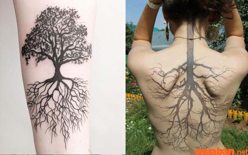 Các mẫu hình xăm mệnh Mộc rễ cây dành cho nữ giới