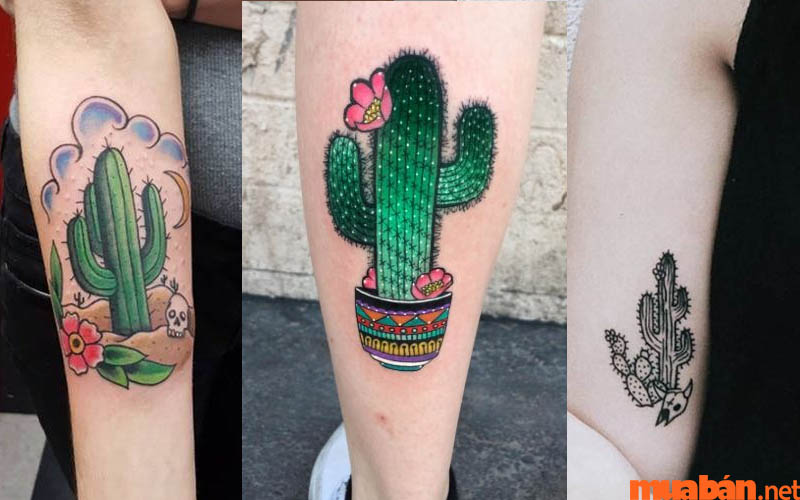 Hình xăm cây xương rồng có ý nghĩa  Đỗ Nhân Tattoo Studio  Facebook
