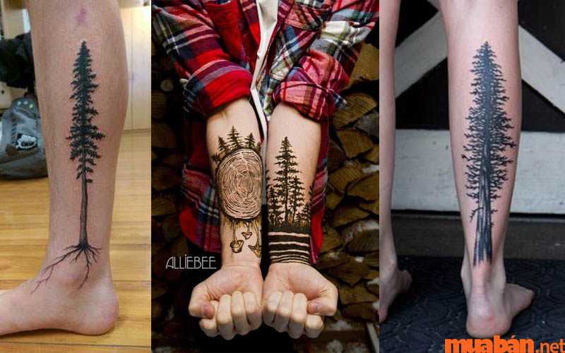 Hình Xăm Cây Thông Đẹp Nhất  1001 Tattoo Rừng Thông