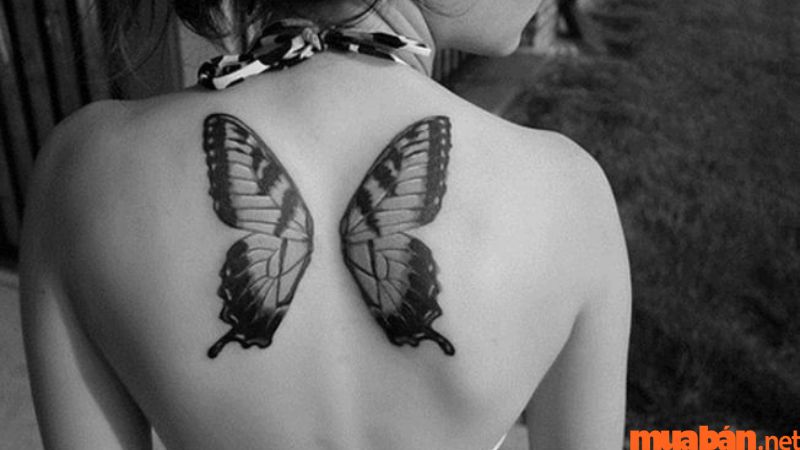 Xăm hình bướm ở lưng