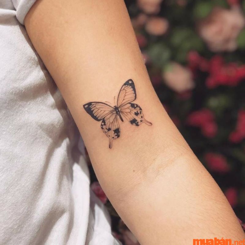 Xăm hình bướm ở cánh tay