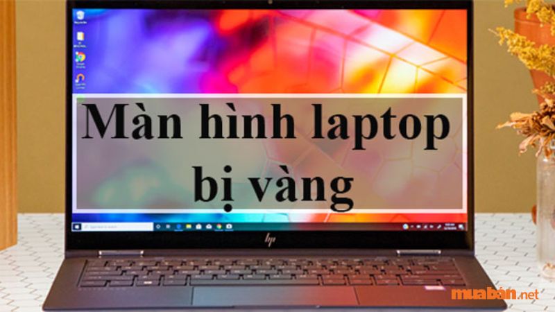 Màn hình laptop bị ố vàng là hiện tượng màn hình đang từ tông màu bình thường chuyển sang màu vàng tối.
