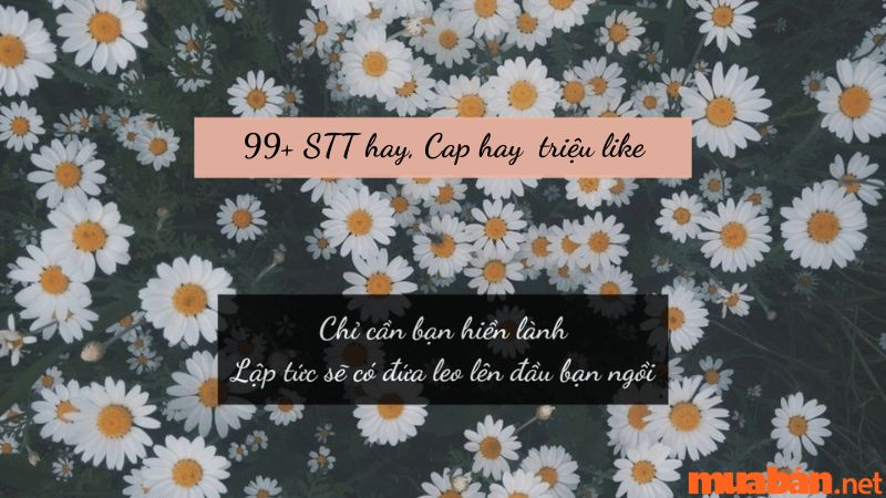 99+ STT hay, cap hay về tình yêu, cuộc sống, bạn bè và gia đình