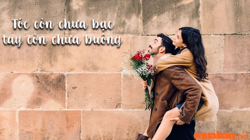 STT hay - Caption ý nghĩa về cuộc sống gia đình