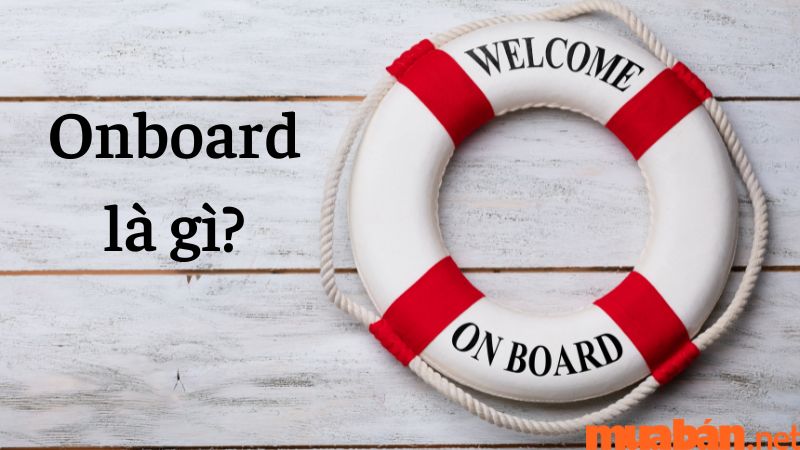 Onboard là gì? Quy trình Onboarding cho nhân viên mới