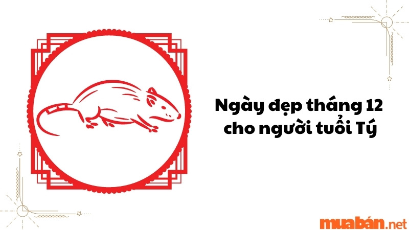 Ngày đẹp tháng 12 cho người tuổi Tý