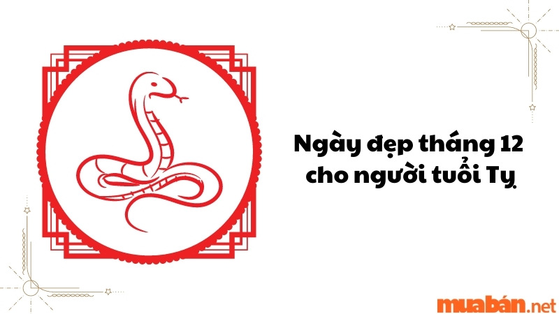 Ngày đẹp tháng 12 cho người tuổi Tỵ