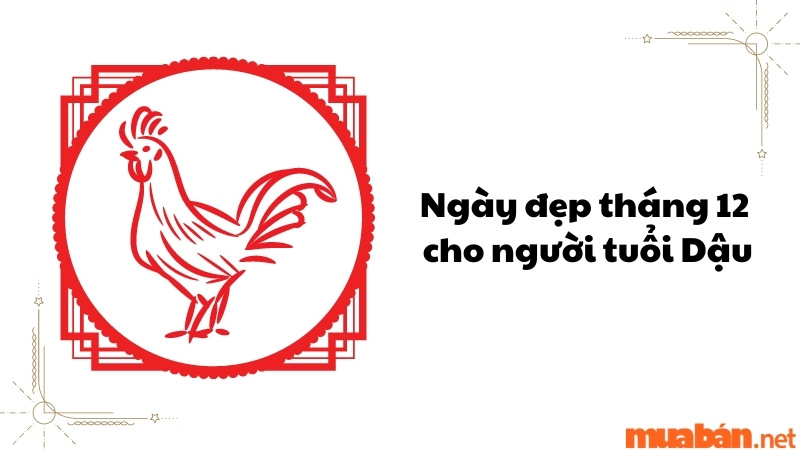 Ngày đẹp tháng 12 cho người tuổi Dậu