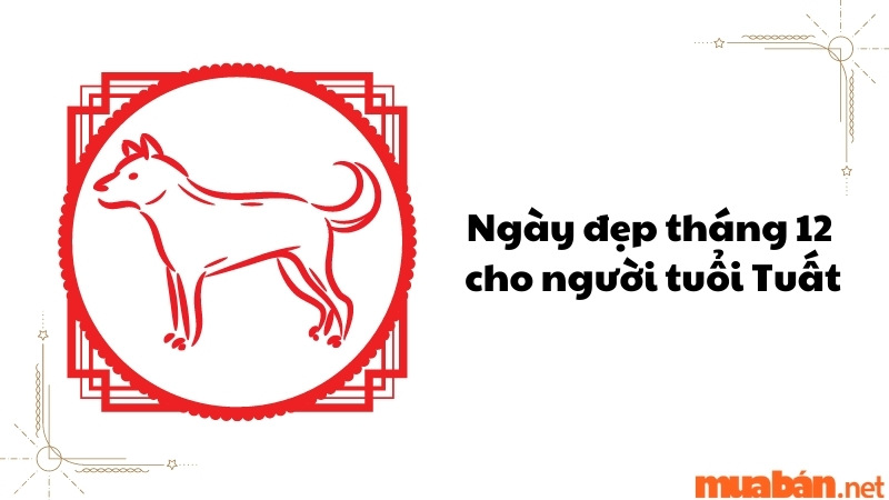 Ngày đẹp tháng 12 cho người tuổi Tuất