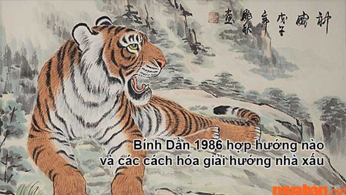 Bính Dần 1986 hợp hướng nào và các cách hóa giải hướng nhà xấu