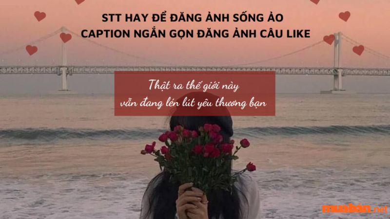 STT chất đăng Facebook giúp tăng like, tăng tương tác