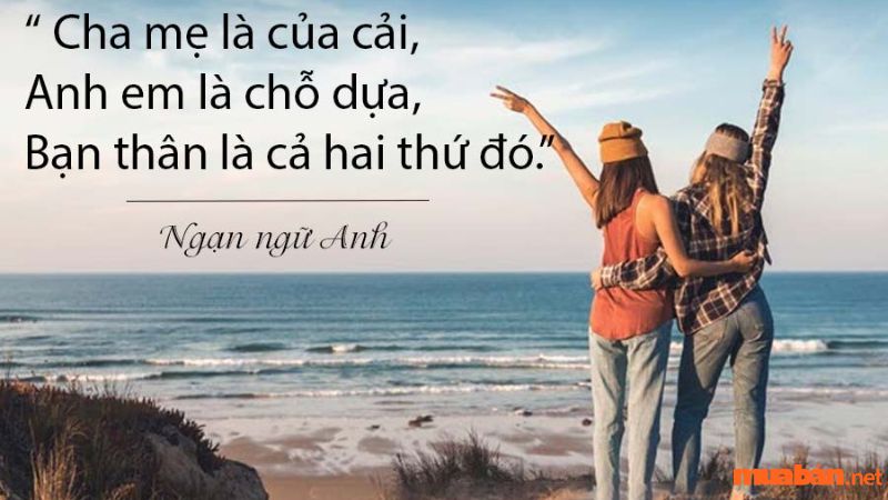 STT cực chất về tình bạn