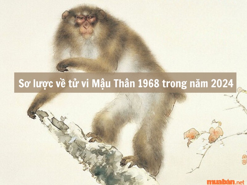 Sơ lược về tử vi phong thủy Mậu Thân 1968 vô năm 2024