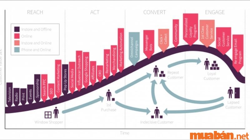 Customer Lifecycle 