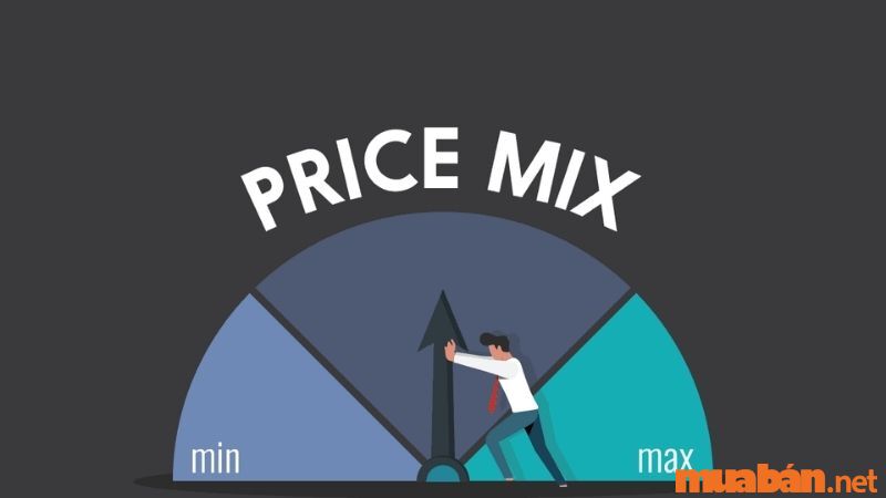 Marketing Mix Price