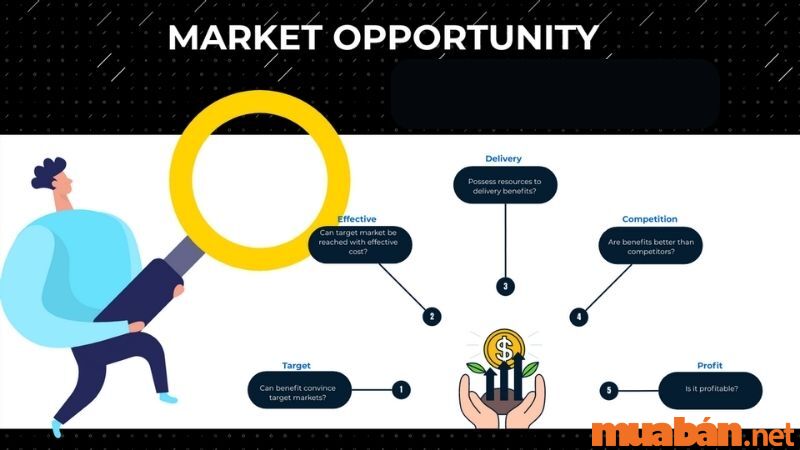 Vai trò của Market Opportunities 
