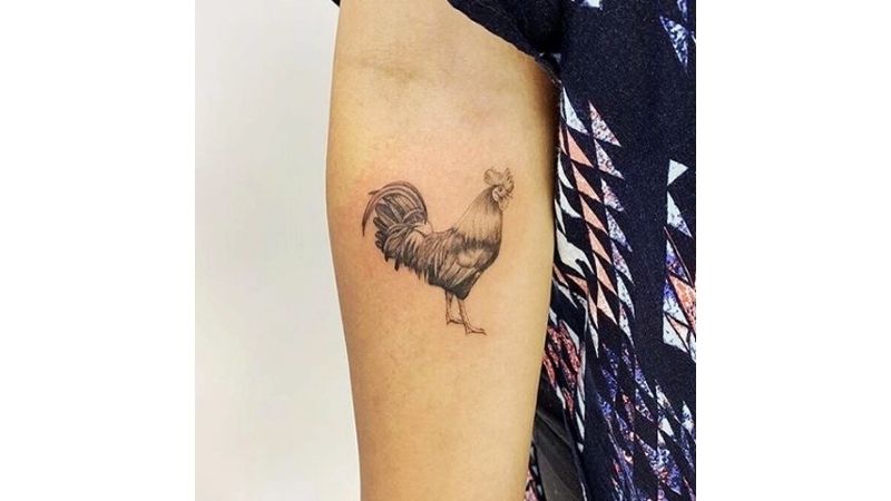 Hình xăm con gà  Tattoo Gà