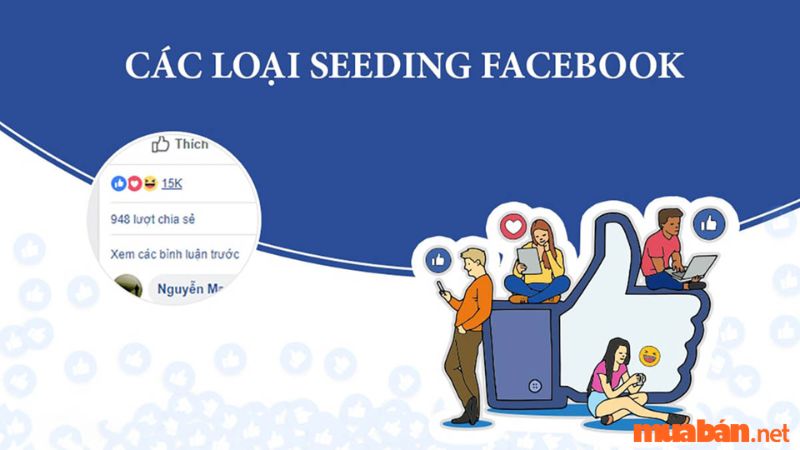 Có 4 loại Seeding trên Facebook