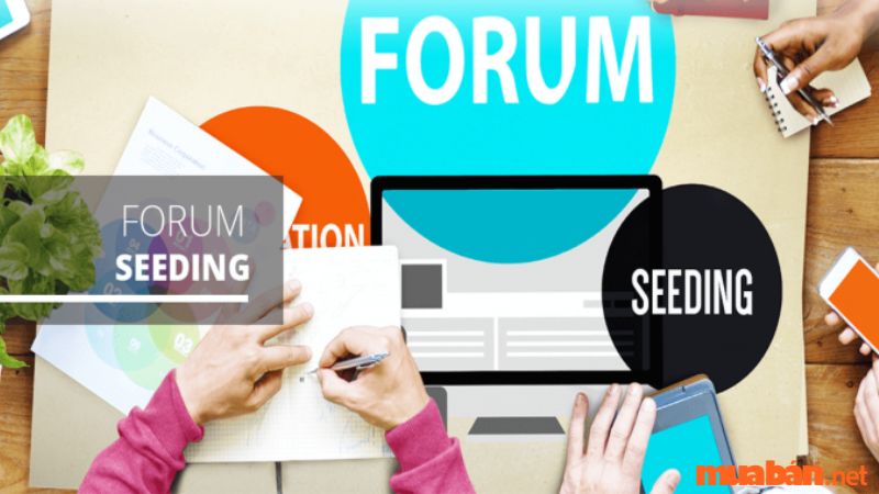 Seeding forum là một trong những hình thức  Seeding hiệu quả