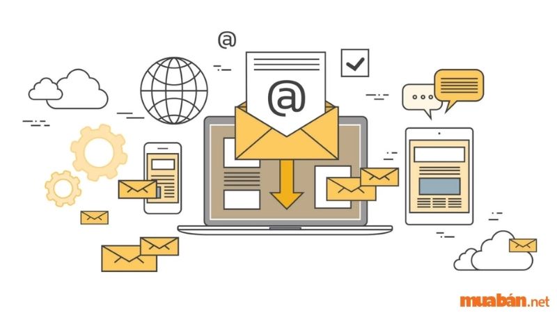 Email Marketing và Newsletter 